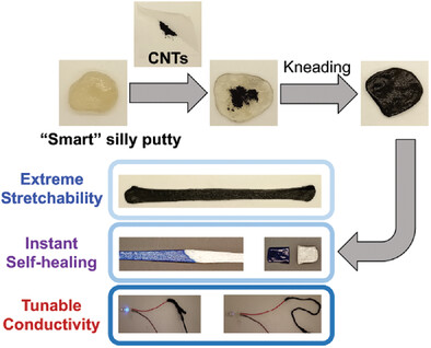 SMART Silly Putty: Stretchable, Malleable, Adherable, Reusable, and Tear-Resistible Hydrogels