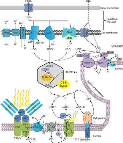 Details are in the caption following the image Details are in the caption following the image