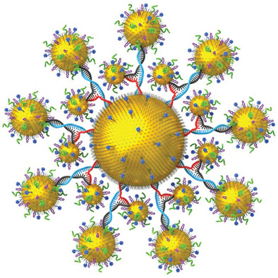 DNA-Driven Two-Layer Core–Satellite Gold Nanostructures for Ultrasensitive MicroRNA Detection in Living Cells