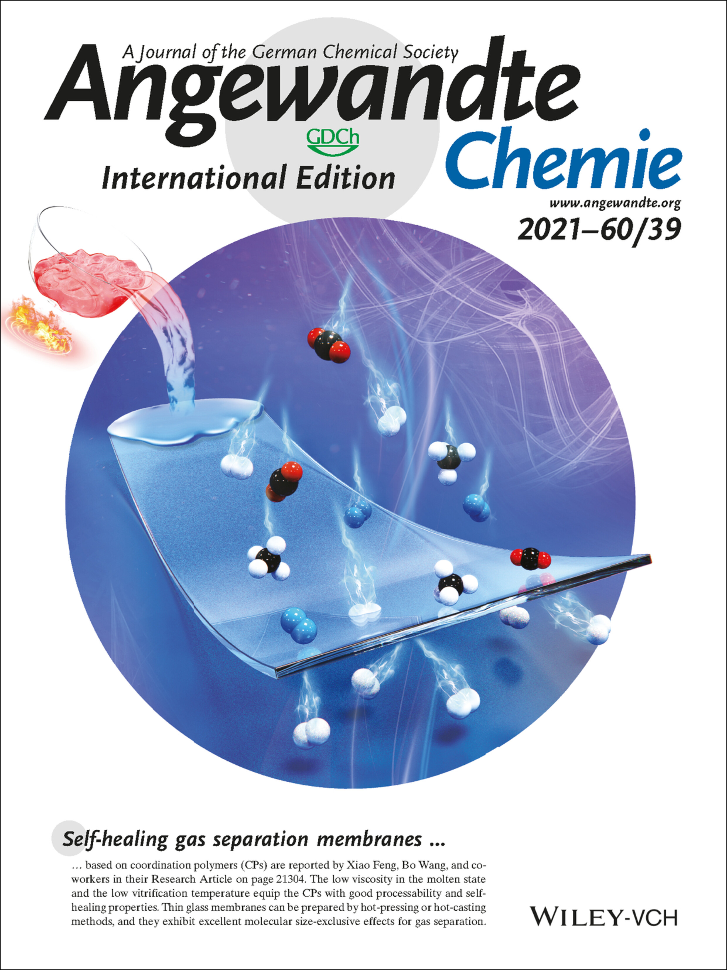 Back Cover: Coordination Polymer Glasses with Lava and Healing Ability for High-Performance Gas Sieving (Angew. Chem. Int. Ed. 39/2021) Volume 60 Issue 39, 2021