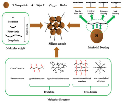 Key Factors for Binders to Enhance the Electrochemical Performance of Silicon Anodes through Molecular Design