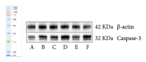 Details are in the caption following the image