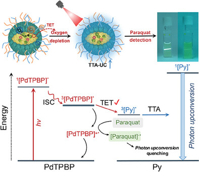 Amino Acids-Enabled Fast-Restore of Triplet-Triplet Annihilation Upconversion Luminescence for Background-Free Sensing of Herbicides