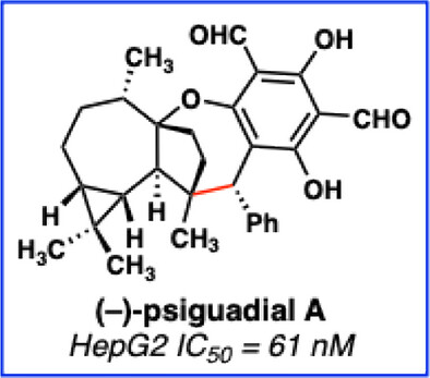 Enantioselective Total Synthesis of (–)-Psiguadial A