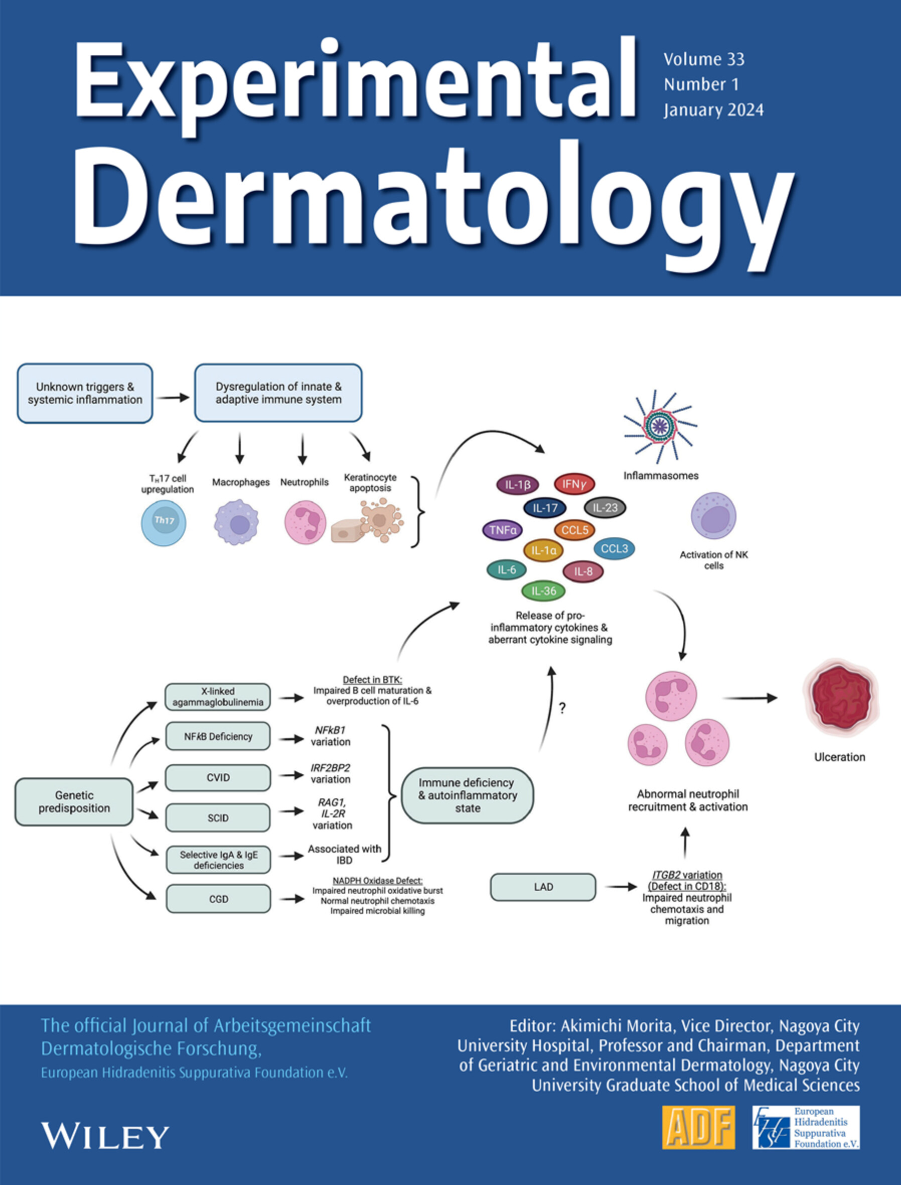 Cover Image Volume 33 Issue 1, 2024