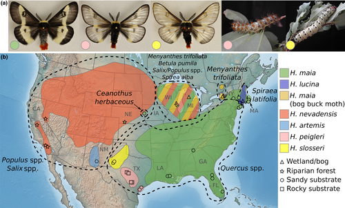 Details are in the caption following the image Details are in the caption following the image