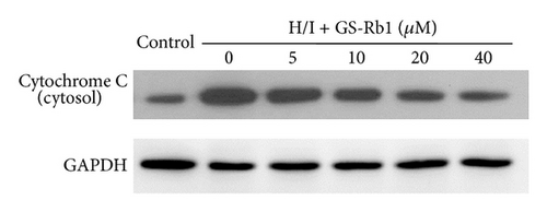 Details are in the caption following the image