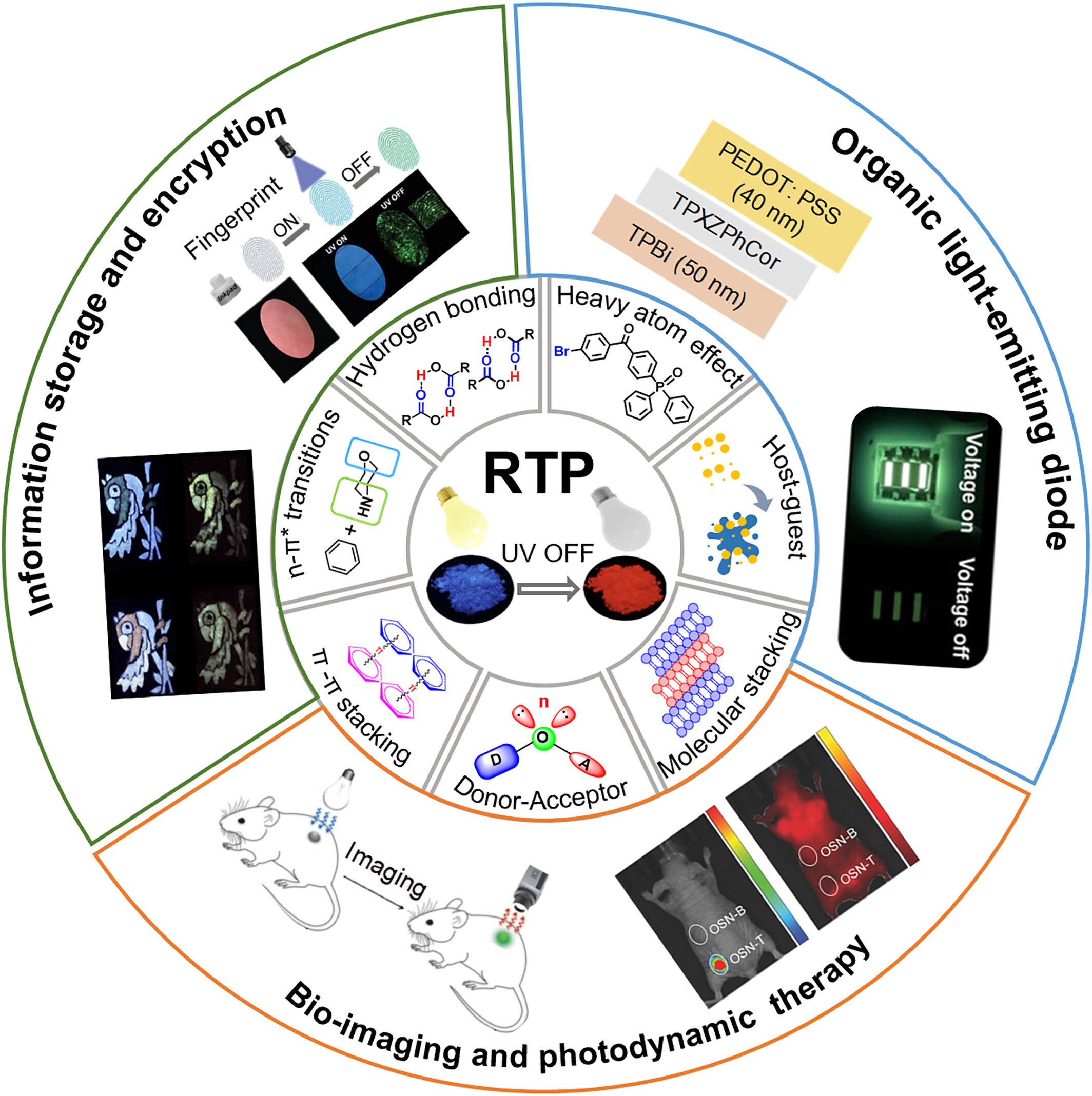 Room temperature phosphorescence materials based on small organic molecules: Design strategies and applications