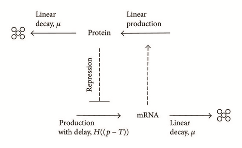 Details are in the caption following the image