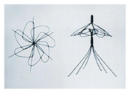 Details are in the caption following the image