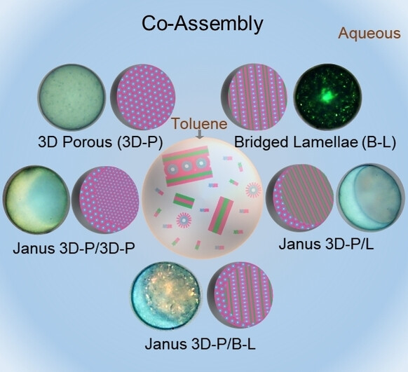 Janus Photonic Microspheres with Bridged Lamellar Structures via Droplet-Confined Block Copolymer Co-Assembly