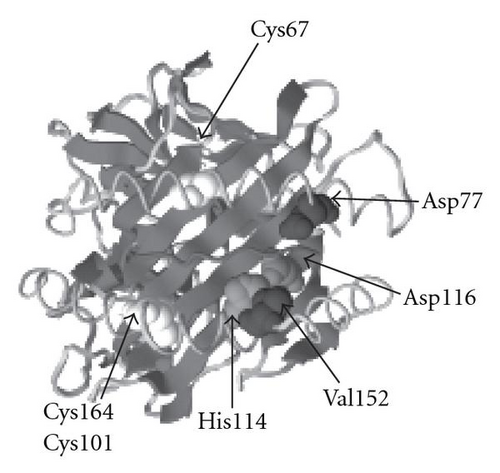 Details are in the caption following the image
