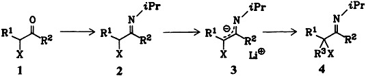Regiospecific α-Alkylation of α-Haloalkylidenamines (“α-Haloketimines”)