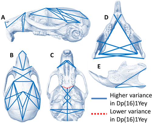 Details are in the caption following the image Details are in the caption following the image