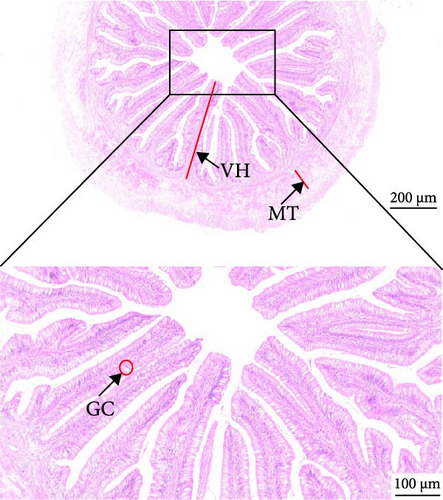 Details are in the caption following the image Details are in the caption following the image