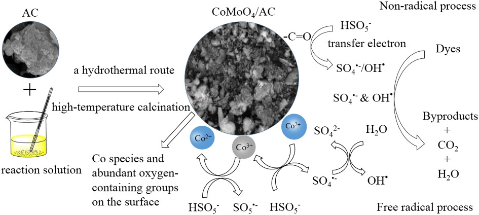 Activated carbon-supported cobalt molybdate as a heterogeneous catalyst to activate peroxymonosulfate for removal of organic dyes