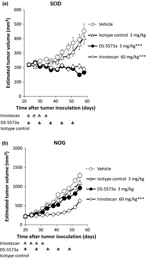 Development of DS-5573a: A novel afucosylated mAb directed at B7-H3 with potent antitumor activity