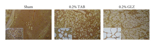 Details are in the caption following the image