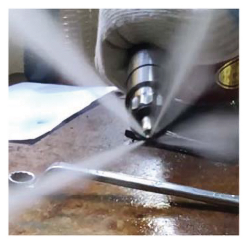 Details are in the caption following the image Details are in the caption following the image