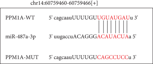 Details are in the caption following the image