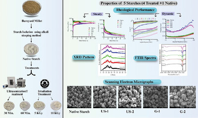 Transformations in Properties of Indian Barnyard Millet Starch as Induced by Ultra-Sonication and Gamma Irradiation