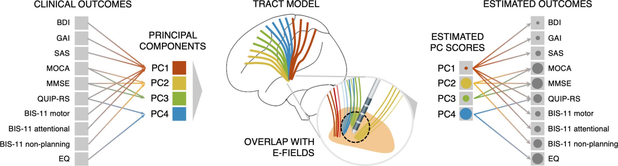 Subthalamic Deep Brain Stimulation: Mapping Non-Motor Outcomes to Structural Connections