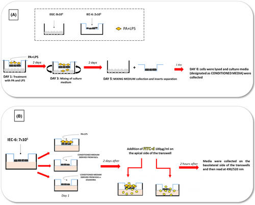 Details are in the caption following the image Details are in the caption following the image