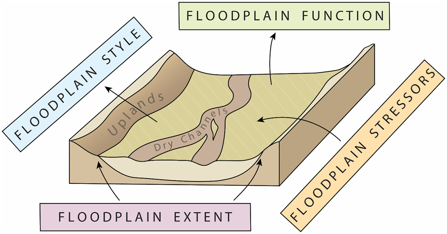 Recognizing the ephemeral stream floodplain: Identification and importance of flood zones in drylands