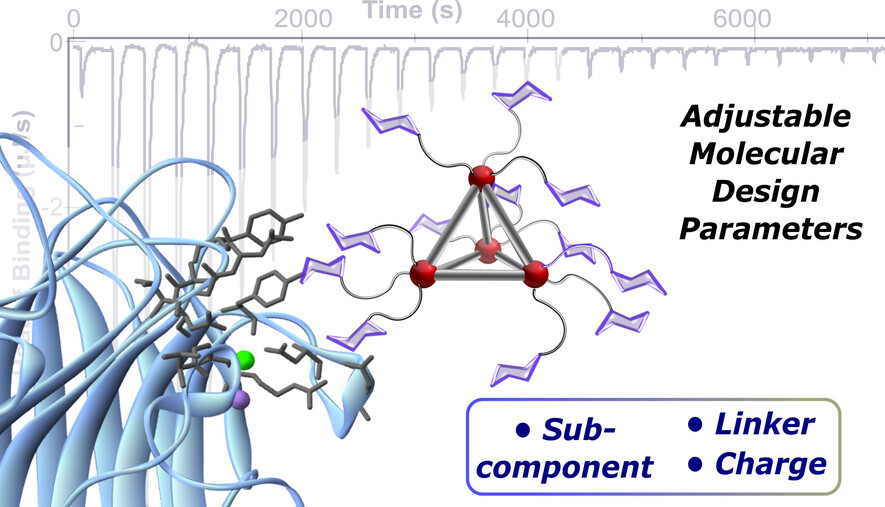 Tailoring Metallosupramolecular Glycoassemblies for Enhancing Lectin Recognition