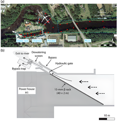 Details are in the caption following the image Details are in the caption following the image
