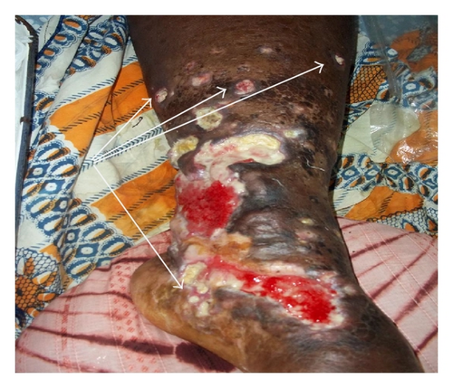 Details are in the caption following the image Details are in the caption following the image