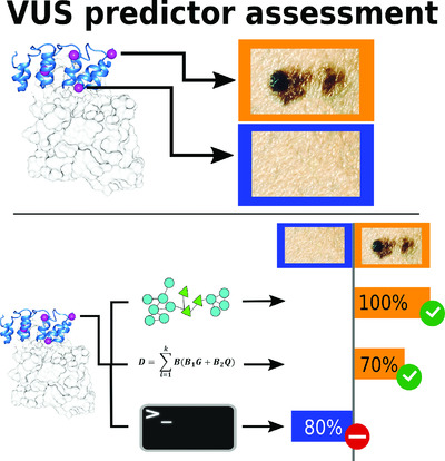 Performance of in silico tools for the evaluation of p16INK4a (CDKN2A) variants in CAGI
