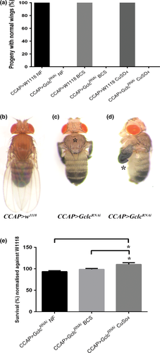 Details are in the caption following the image