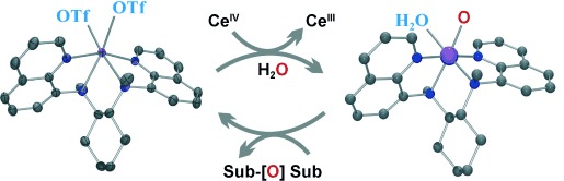 Water as an Oxygen Source: Synthesis, Characterization, and Reactivity Studies of a Mononuclear Nonheme Manganese(IV) Oxo Complex