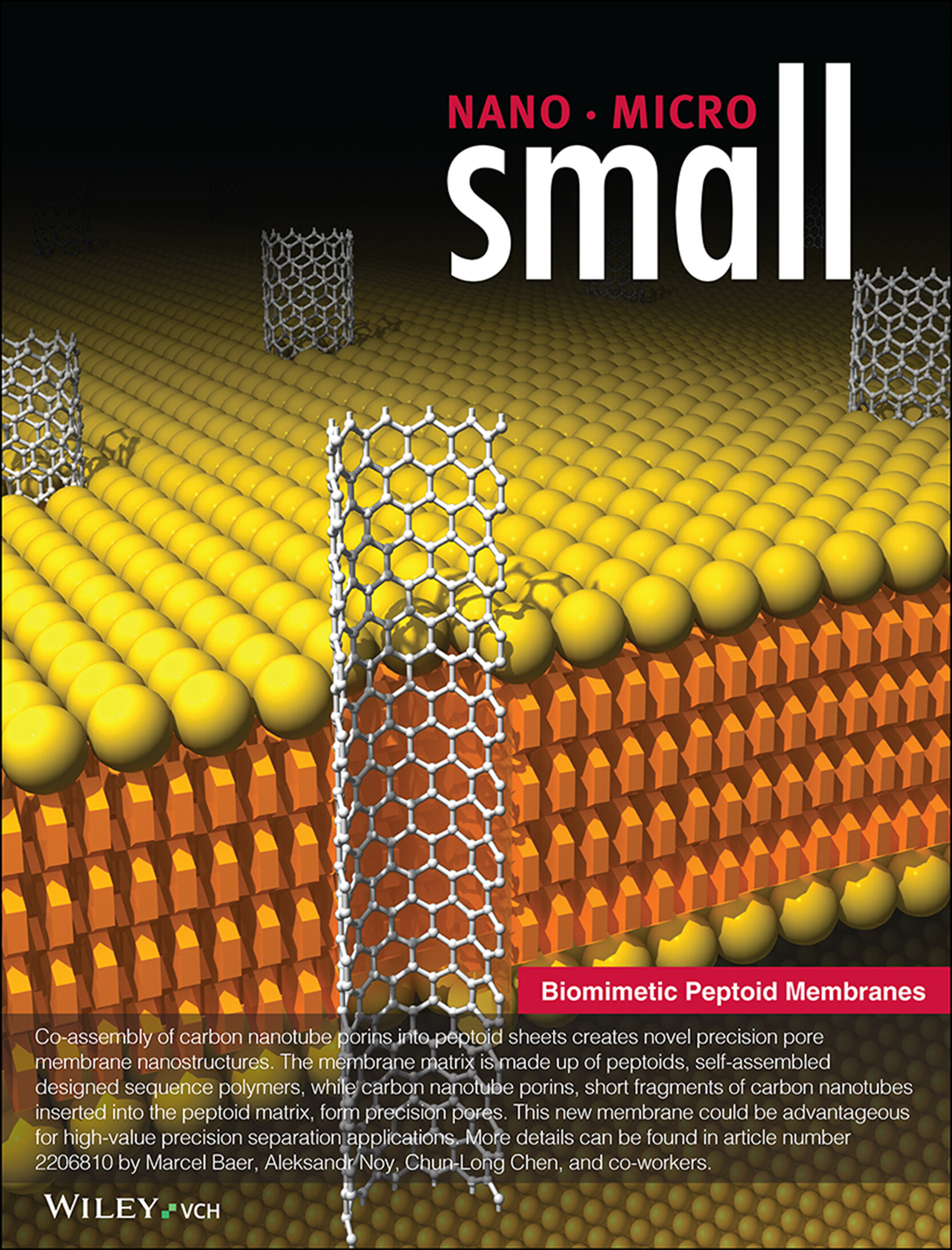 Co-Assembly of Carbon Nanotube Porins into Biomimetic Peptoid Membranes (Small 21/2023) Volume 19 Issue 21, 2023