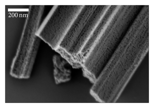Details are in the caption following the image