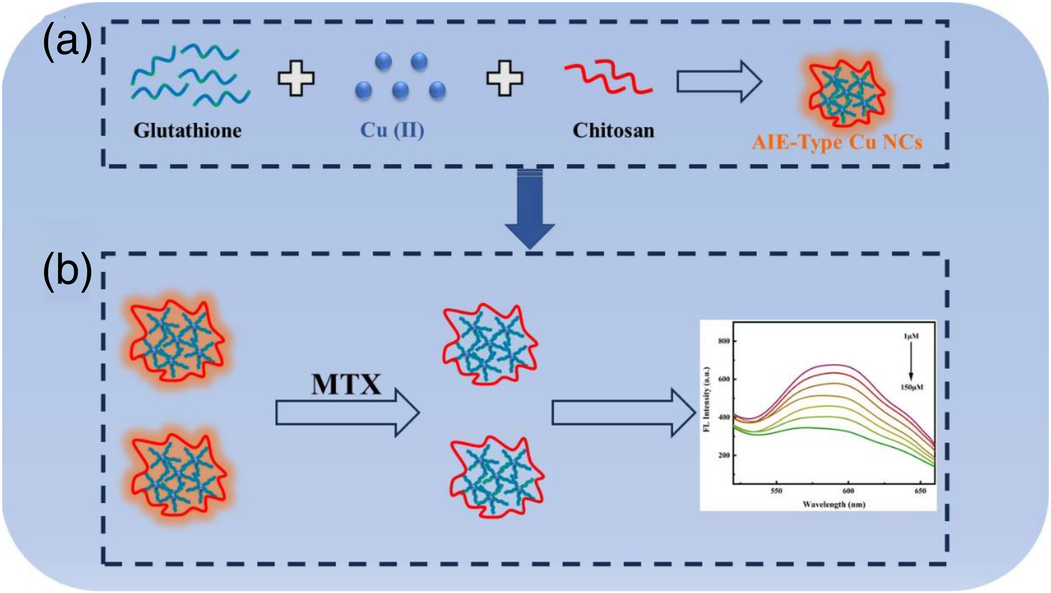 Chitosan nanogels-mediated AIE self-assembly of copper nanoclusters for highly sensitive detection of the anticancer drug methotrexate