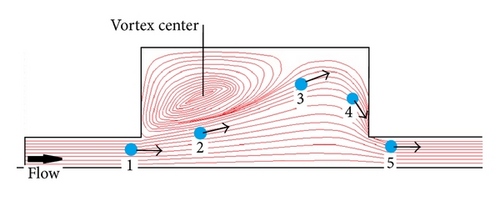 Details are in the caption following the image Details are in the caption following the image