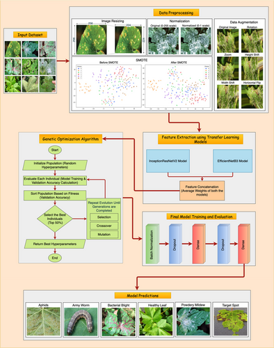 Details are in the caption following the image Details are in the caption following the image