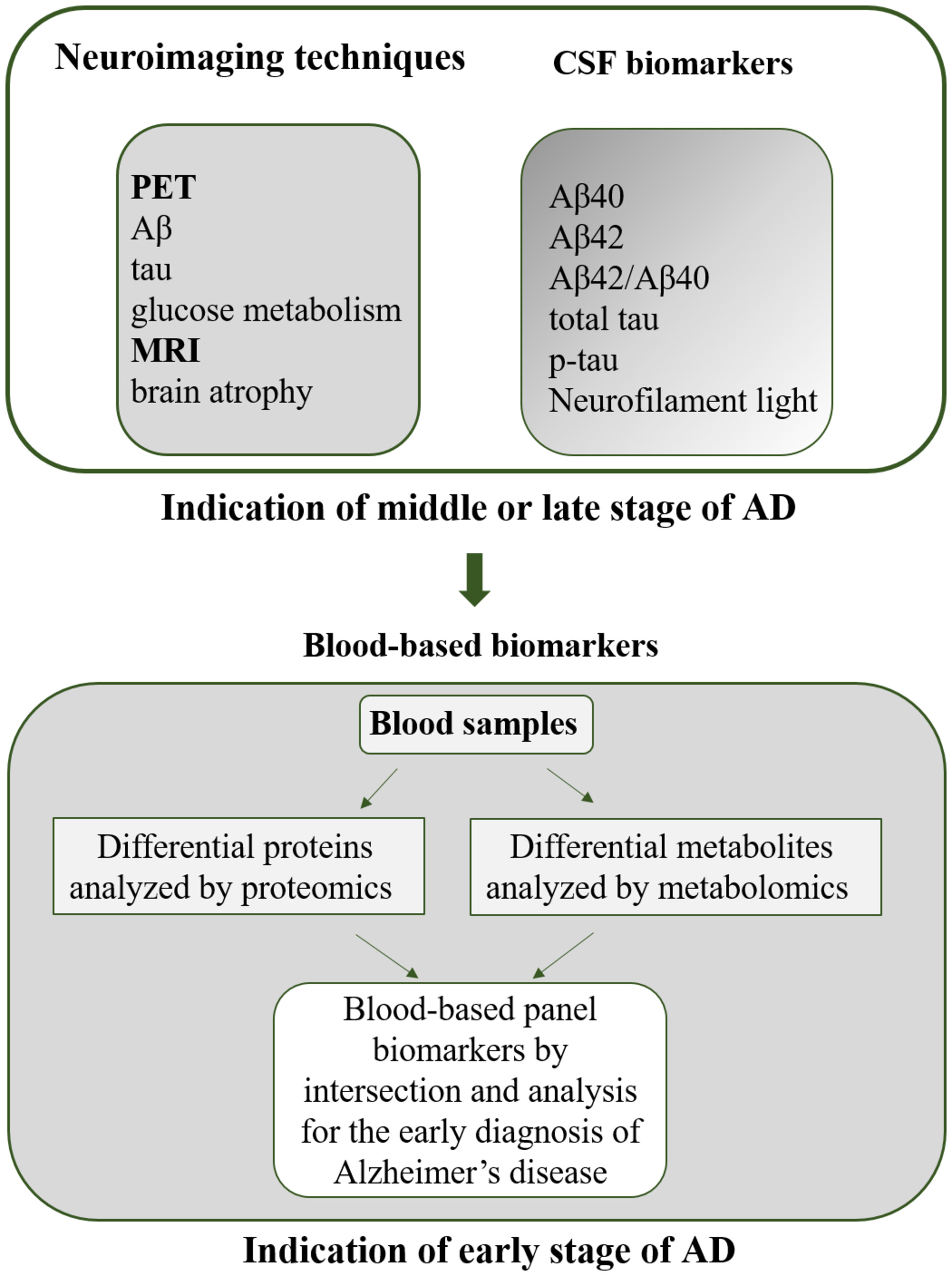 The early diagnosis of Alzheimer's disease: Blood-based panel biomarker discovery by proteomics and metabolomics