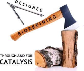 Plant Biomass Fractionation Meets Catalysis
