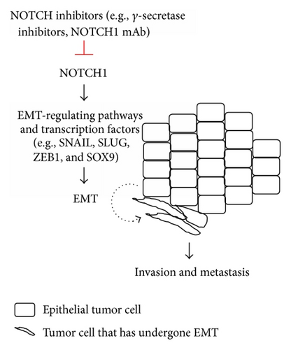 Details are in the caption following the image