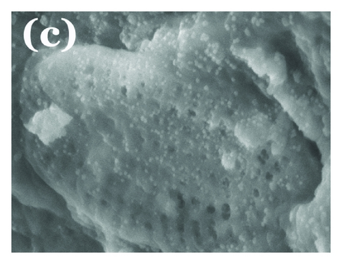 Details are in the caption following the image