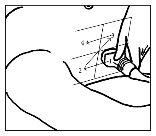Details are in the caption following the image Details are in the caption following the image