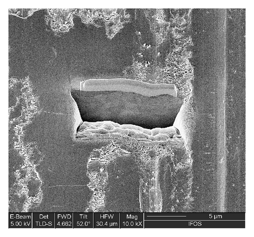 Details are in the caption following the image Details are in the caption following the image