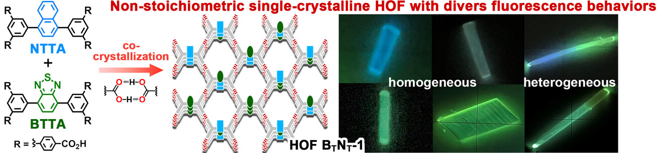Single Crystalline, Non-Stoichiometric Hydrogen-Bonded Organic Frameworks Showing Versatile Fluorescence Depending on Composition Ratios and Distributions