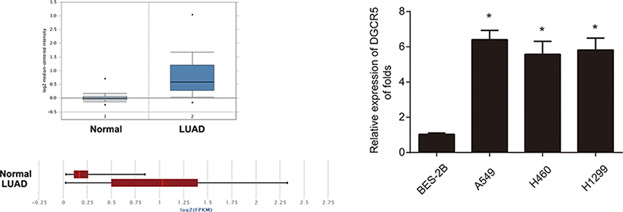 LncRNA DGCR5 promotes lung adenocarcinoma (LUAD) progression via inhibiting hsa-mir-22-3p