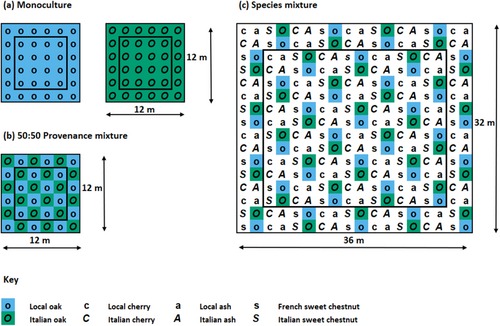 Details are in the caption following the image Details are in the caption following the image