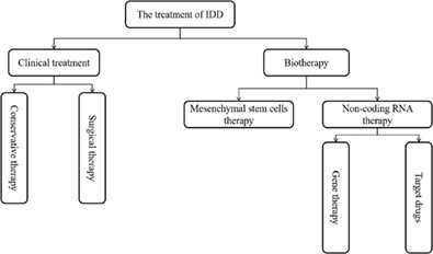 Treatment of Intervertebral Disc Degeneration