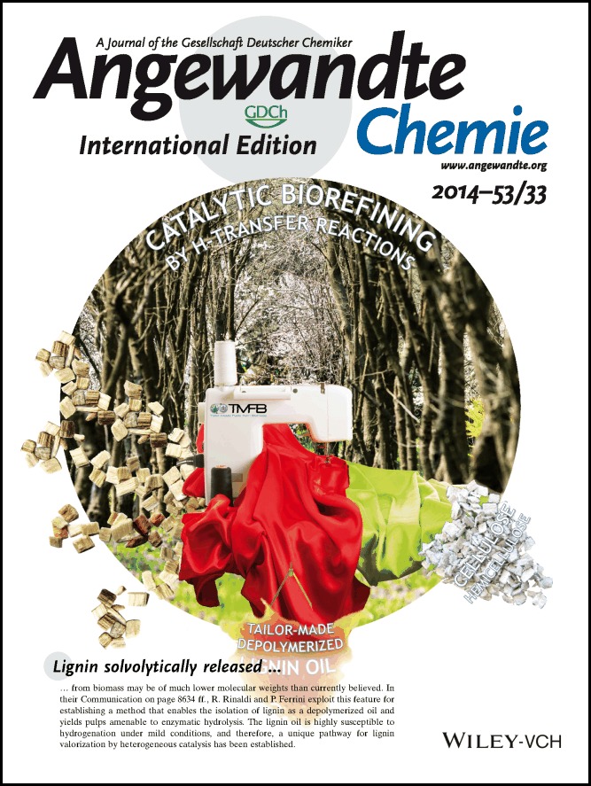 Inside Cover: Catalytic Biorefining of Plant Biomass to Non-Pyrolytic Lignin Bio-Oil and Carbohydrates through Hydrogen Transfer Reactions (Angew. Chem. Int. Ed. 33/2014)